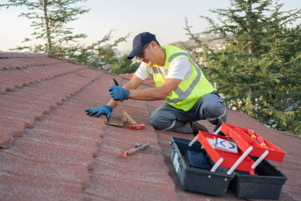 Roof Gutter Cleaning in Pomeroy, OH